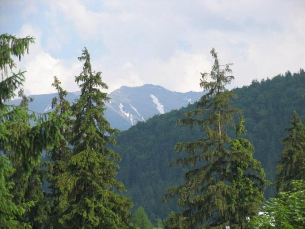 Willa Leśna Zakopane Esterno foto